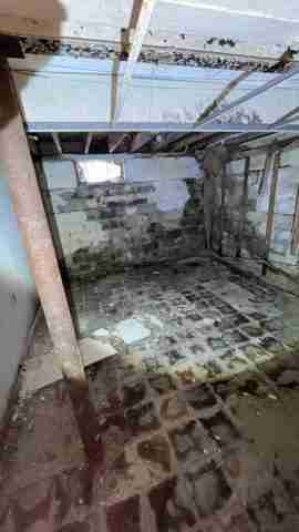 5557 Three Mile (50).jpg